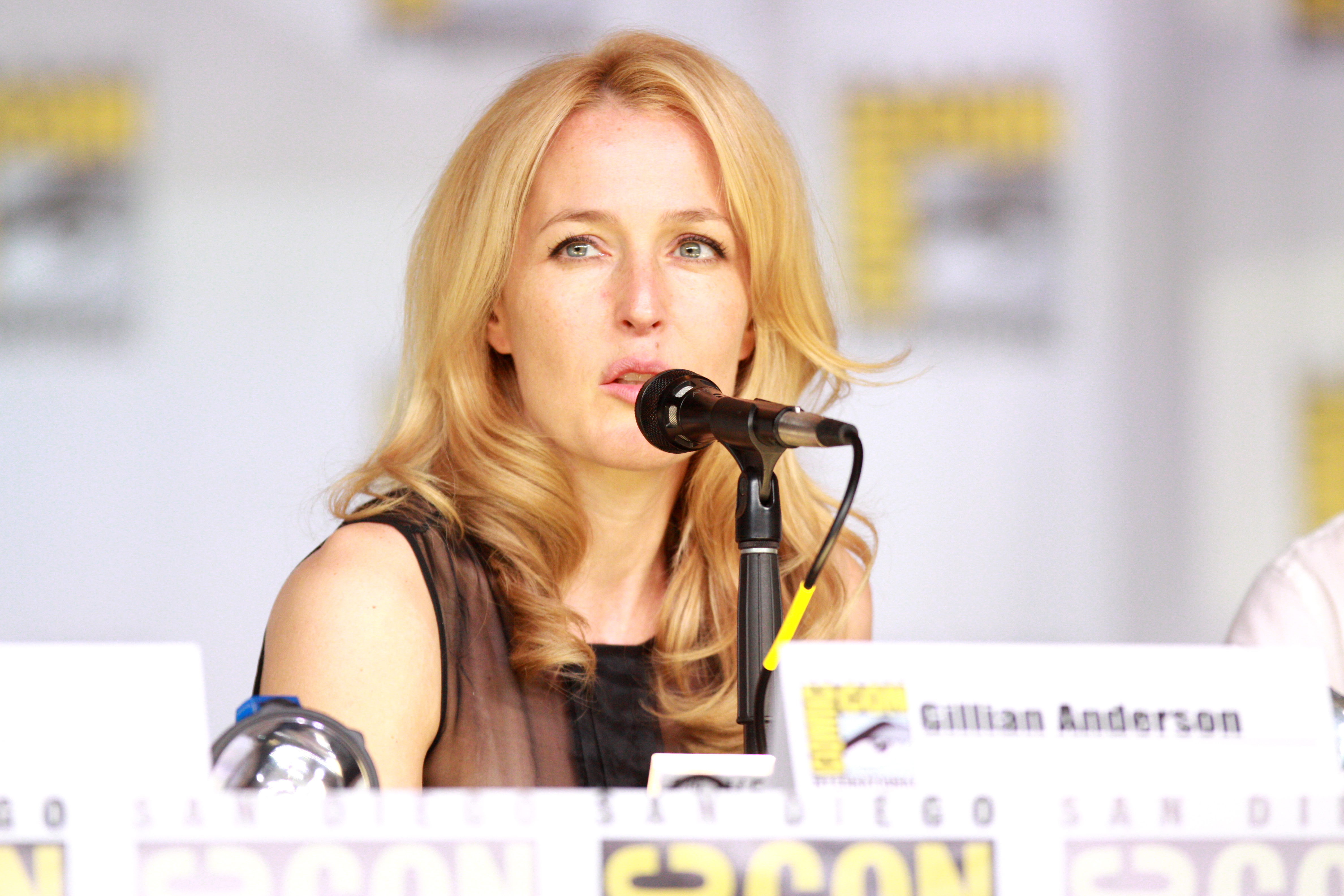 Gillian Anderson 391